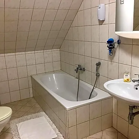 Hotell Goesser Bachgasslhof -- -- 4*