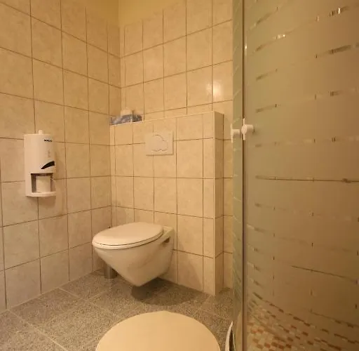 Goesser Bachgasslhof -- -- 4* Leoben (Styria)